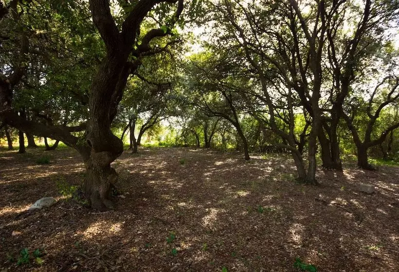 Aamiaismajoitus (B&B) Masseria Poli