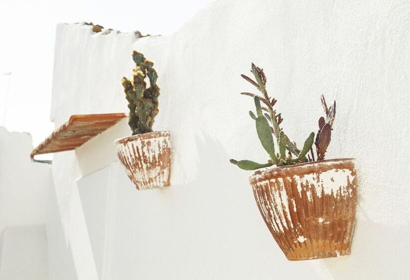 تختخواب و صبحانه Palazzo Bianchi Domus Holidays