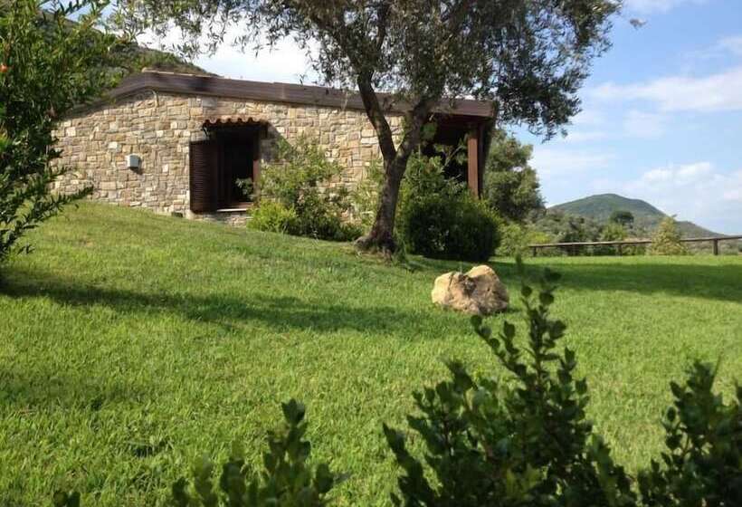 Bed and Breakfast Terre Di Mezzo Country House