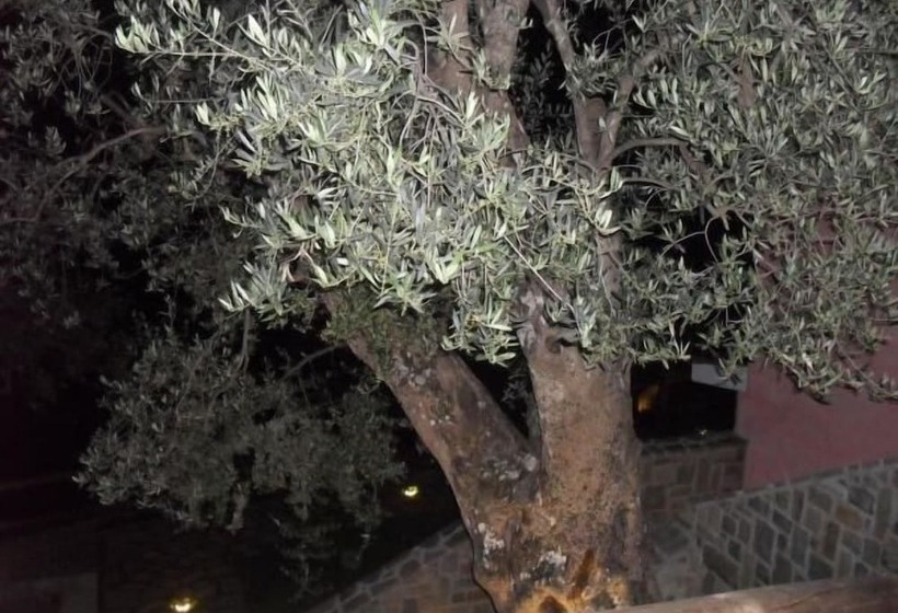 Bed and Breakfast Terre Di Mezzo Country House