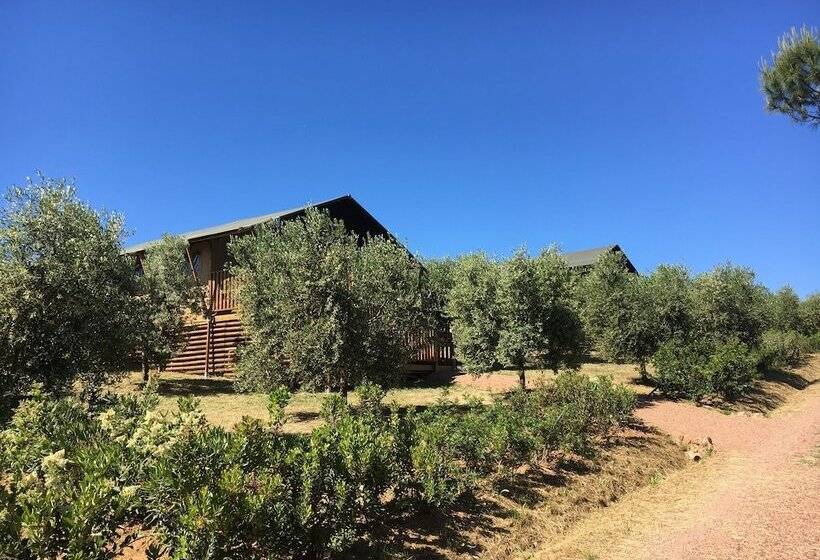 هتل Glamping Tenuta Poggio Rosso