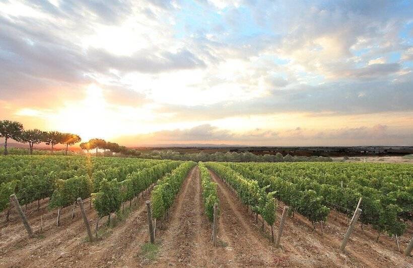 هتل Glamping Tenuta Poggio Rosso