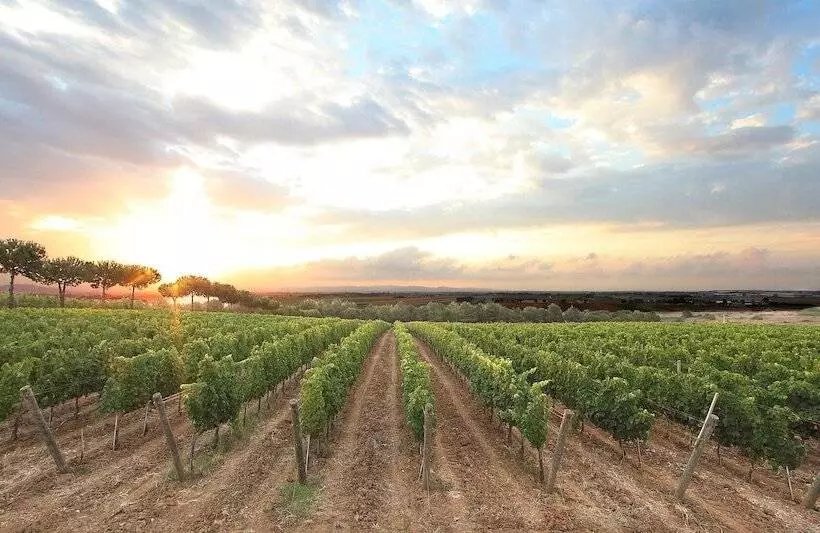 ホテル Tenuta Poggio Rosso Glamping