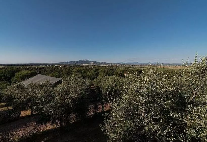 ホテル Tenuta Poggio Rosso Glamping