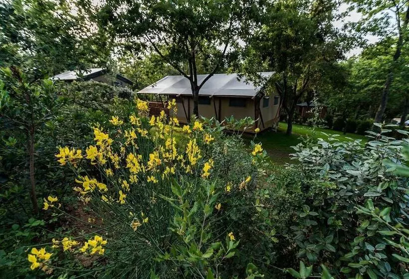 ホテル Tenuta Poggio Rosso Glamping