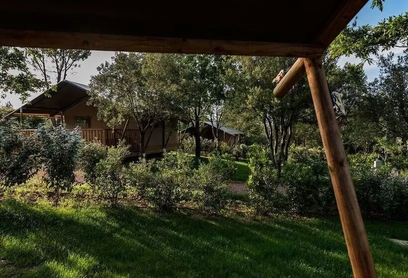 ホテル Tenuta Poggio Rosso Glamping