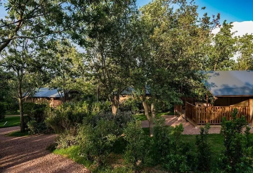 ホテル Tenuta Poggio Rosso Glamping