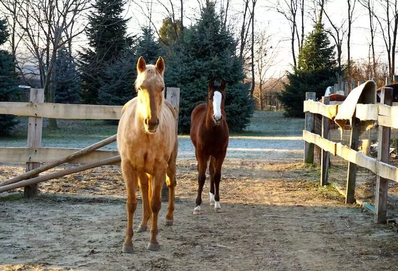 ベッドアンドブレックファースト Baby Blue