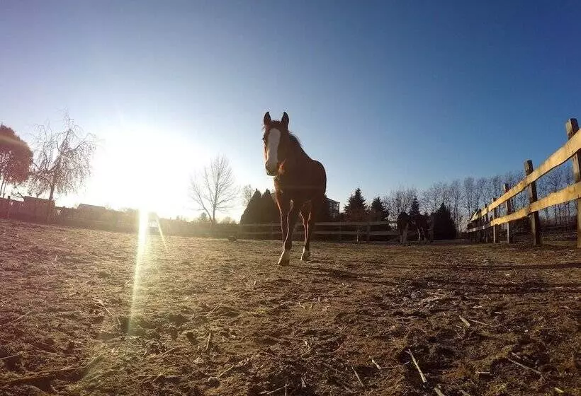 ベッドアンドブレックファースト Baby Blue