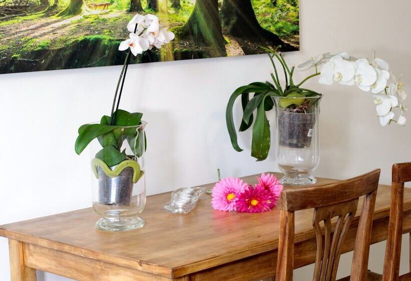 مبيت وإفطار Baby Blue