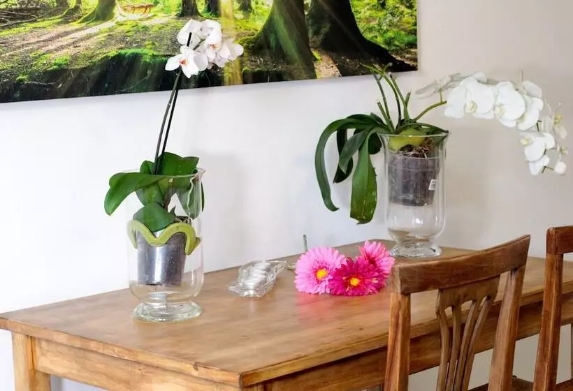 ベッドアンドブレックファースト Baby Blue