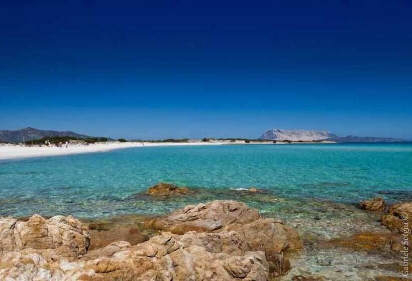 Bed and Breakfast The Old Farm Asfodeli Adults Only