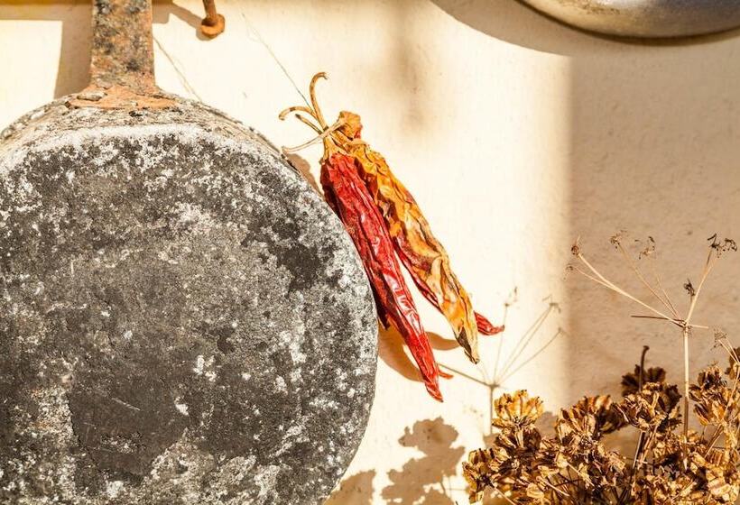 Bed and Breakfast The Old Farm Asfodeli Adults Only