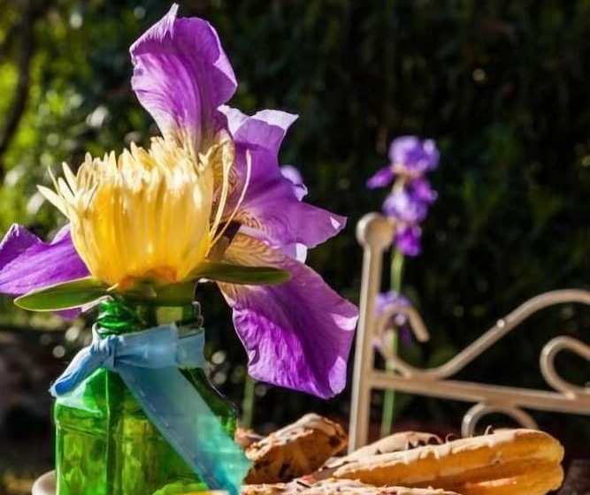 Bed and Breakfast The Old Farm Asfodeli Adults Only