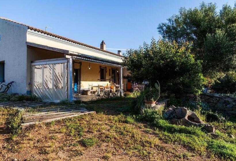 Bed and Breakfast The Old Farm Asfodeli Adults Only