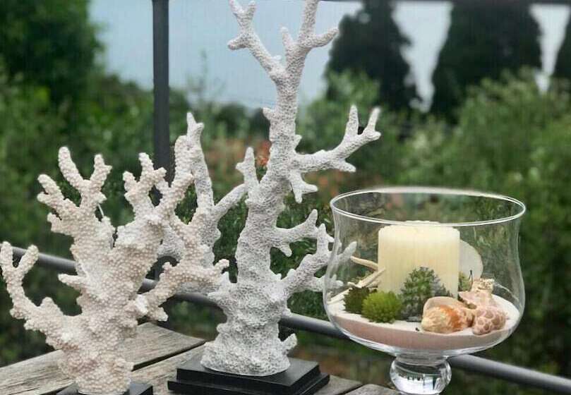 住宿加早餐  Velamica Resort