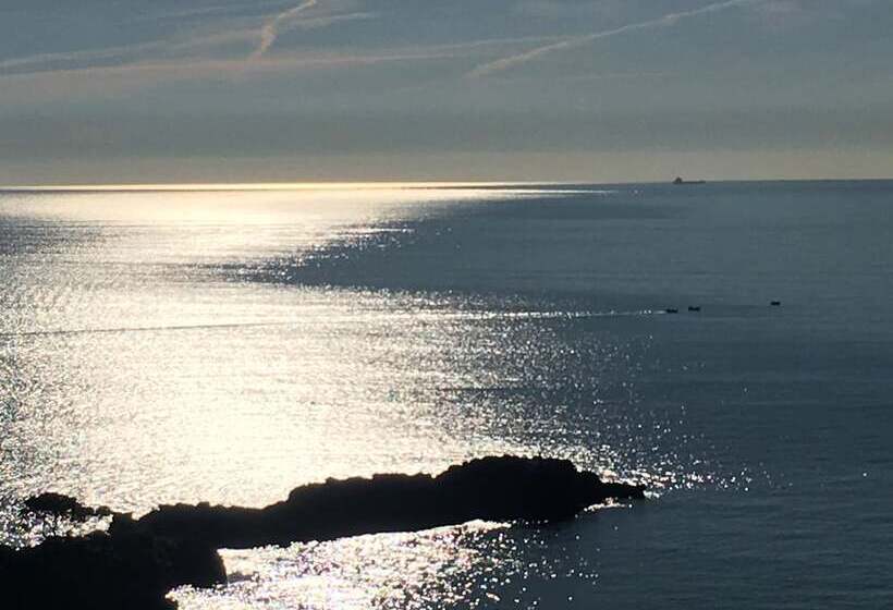 住宿加早餐  Velamica Resort