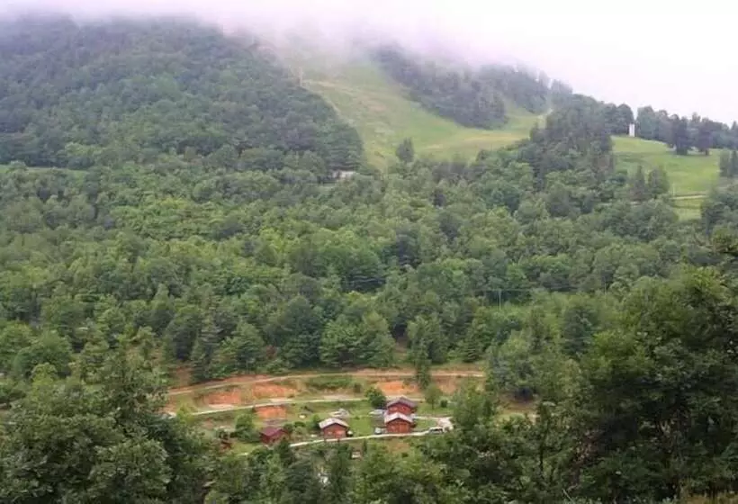 ホテル Camping Yoghi E Bubu