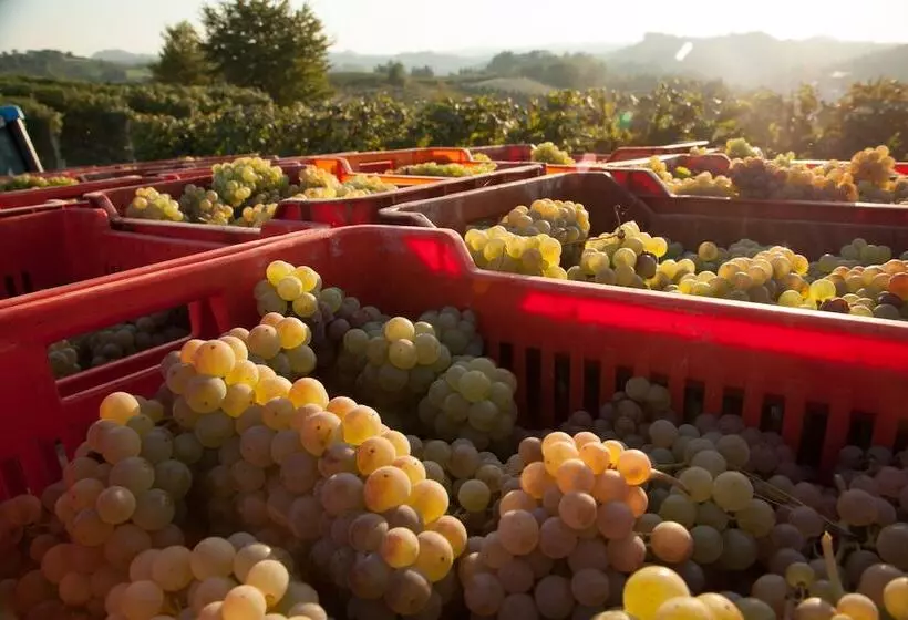 Maaseutuhotelli Villa Cornarea