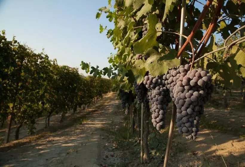 Maaseutuhotelli Villa Cornarea