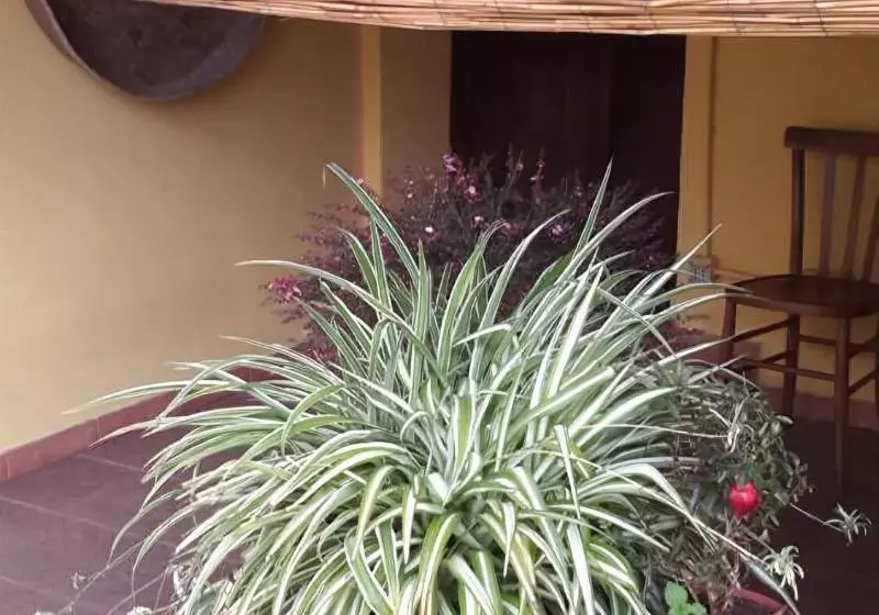 Bed And Breakfast Dal Pozzo