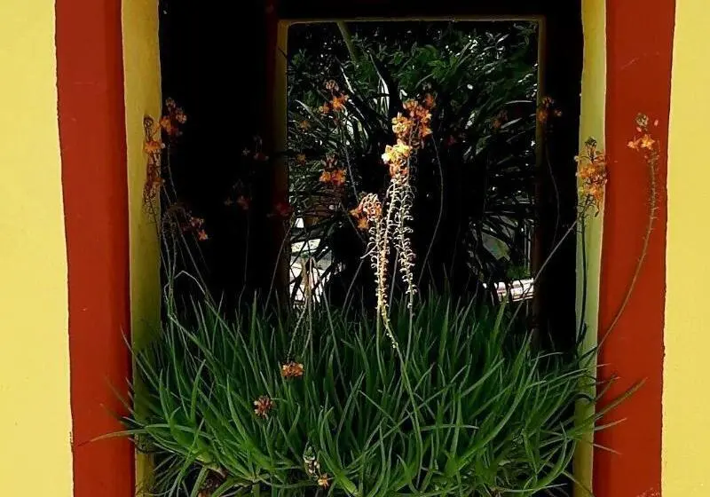 Bed And Breakfast Dal Pozzo