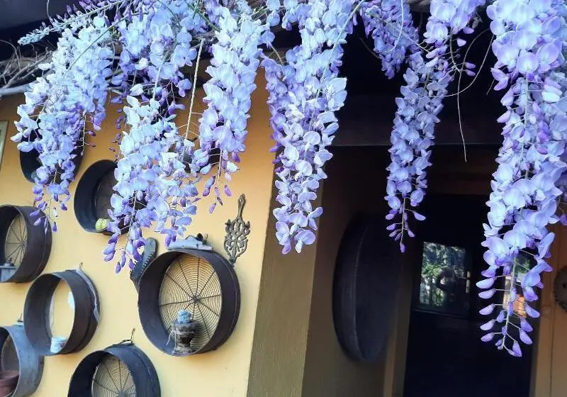 Bed And Breakfast Dal Pozzo