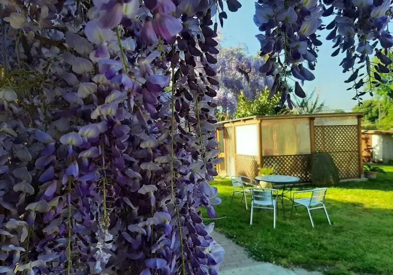 Bed And Breakfast Dal Pozzo
