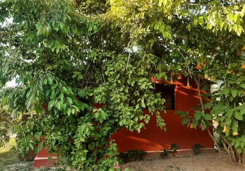 Bed And Breakfast Dal Pozzo
