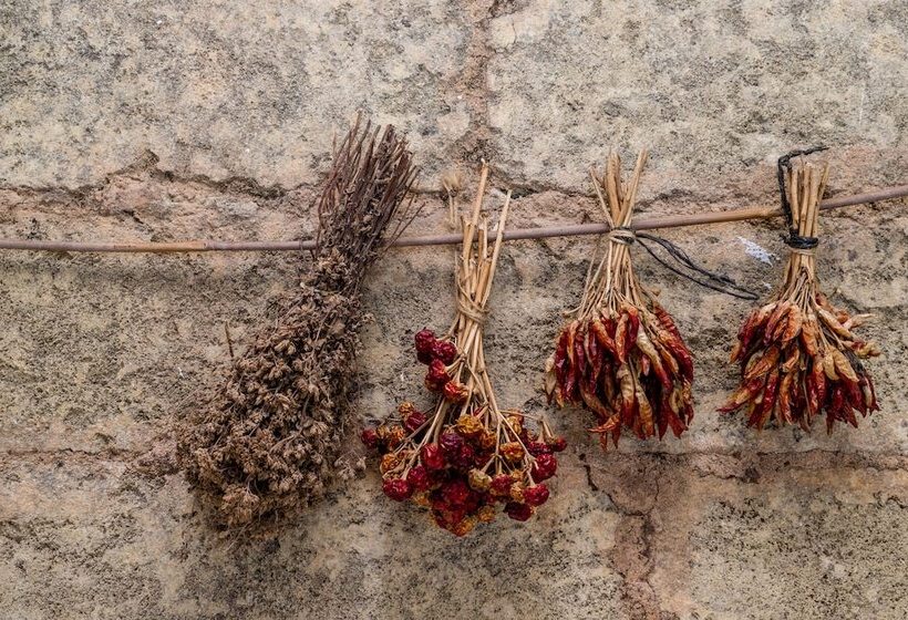 Bed and Breakfast Masseria La Gresca