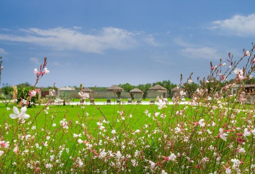 Bed and Breakfast Masseria La Gresca