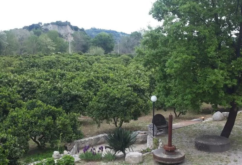 田舎風ホテル Agriturismo Casato Ruggero
