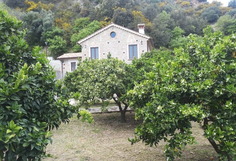 교외 호텔 Agriturismo Casato Ruggero
