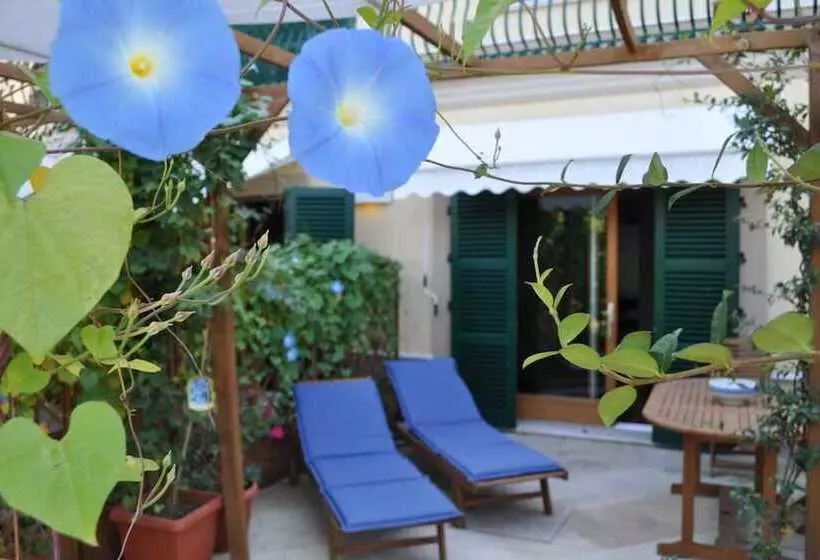 Maaseutuhotelli Agriturismo La Limonaia