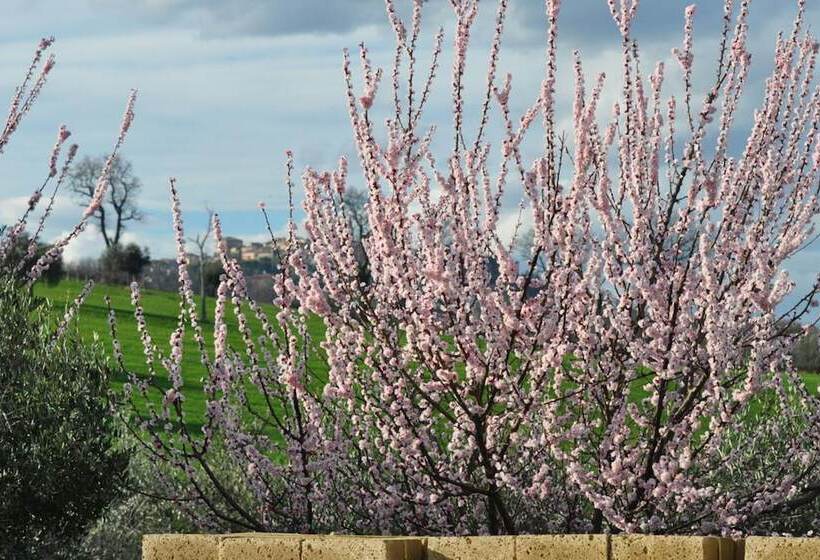 فندق ريفى Agriturismo La Limonaia