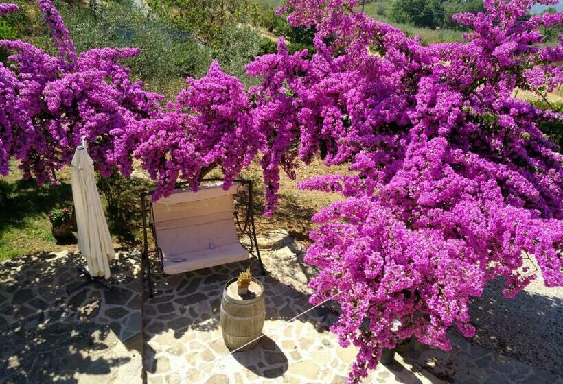 Agriturismo Il Marchese