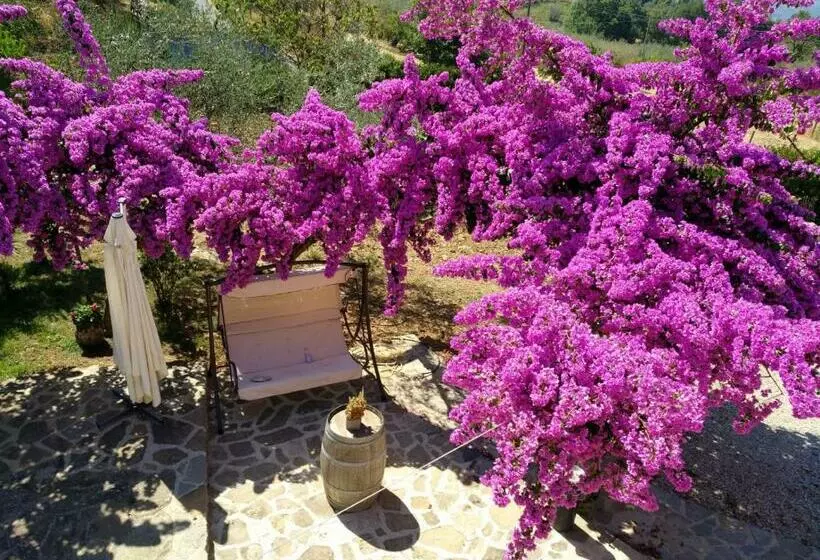 Agriturismo Il Marchese