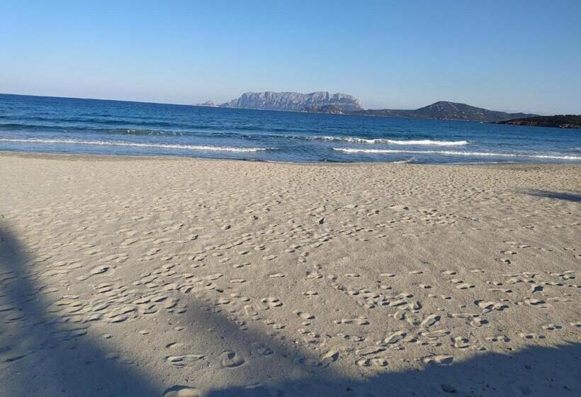 ベッドアンドブレックファースト Antica Isola