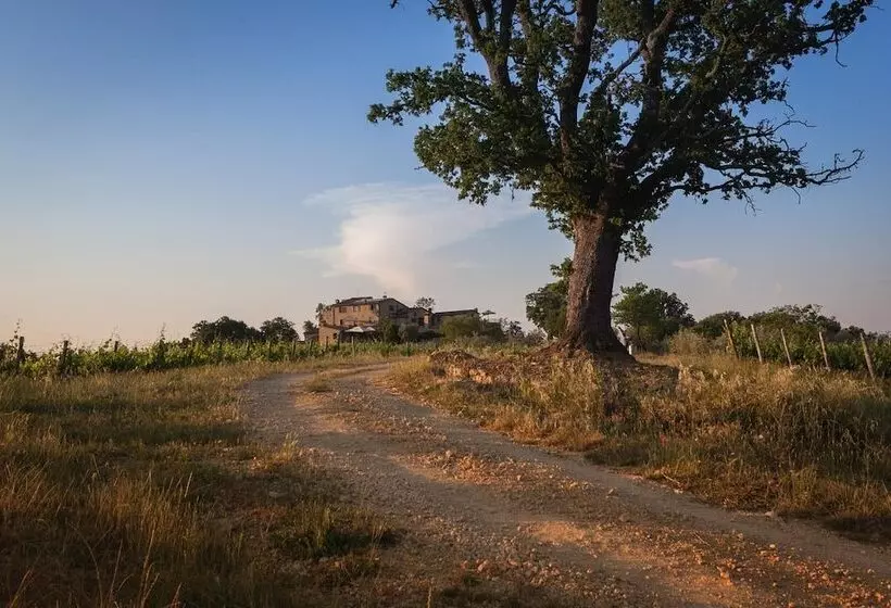 Maaseutuhotelli Agriturismo Castello Di Bucignano