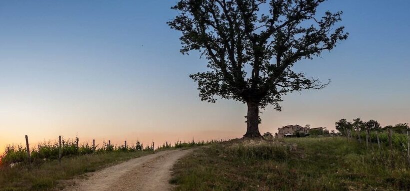 בית מלון כפרי Agriturismo Castello Di Bucignano
