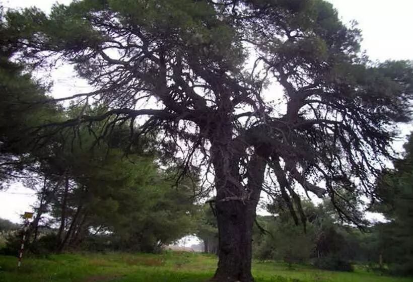 Hotelli Club Villaggio Magic Garden   Campground