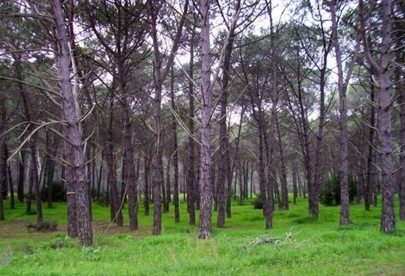 בית מלון כפרי Club Villaggio Magic Garden   Campground