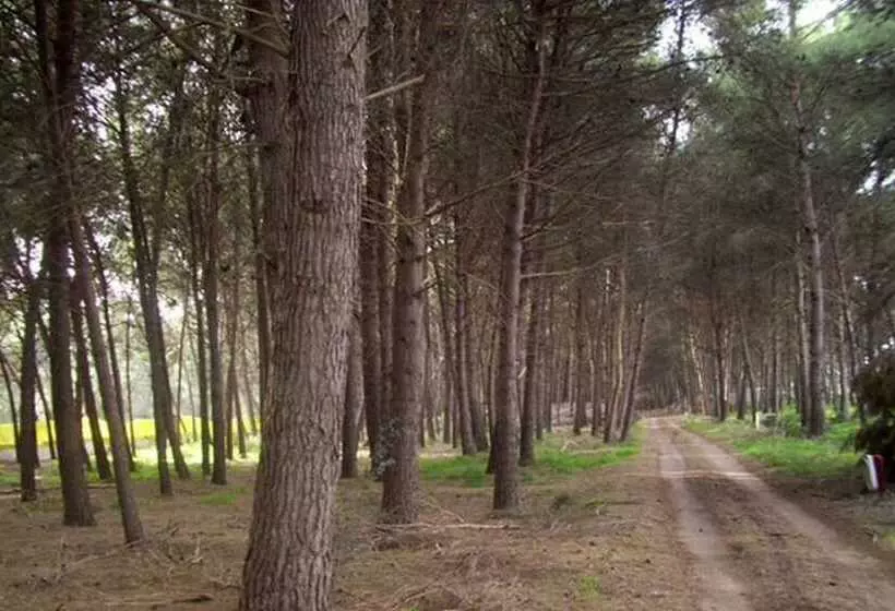 Hotelli Club Villaggio Magic Garden   Campground