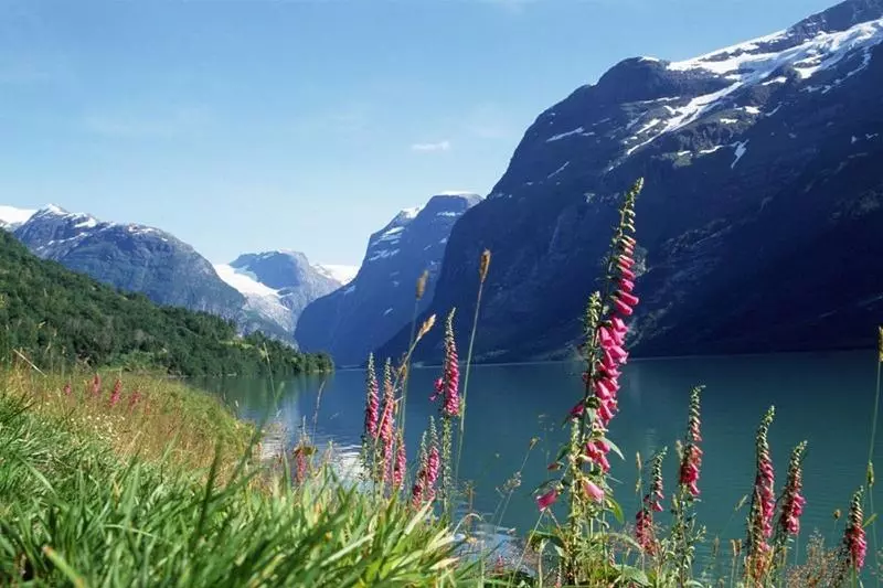 فندق Alexandra Loen