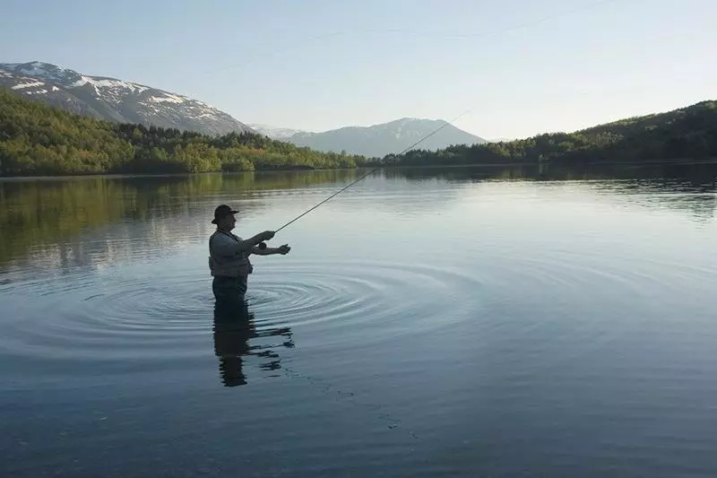 فندق Alexandra Loen