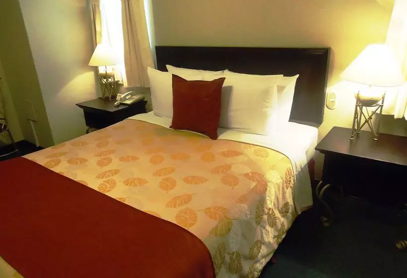 هتل Leon De Oro Inn & Suites