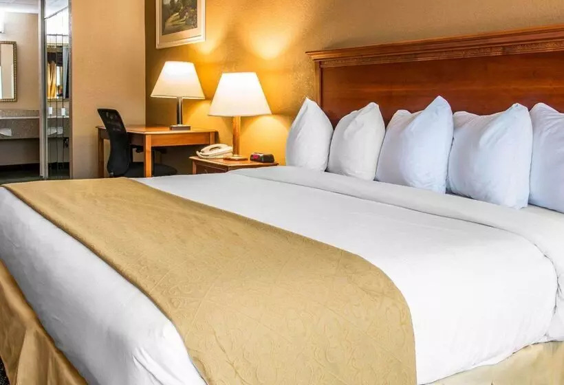 فندق Quality Inn