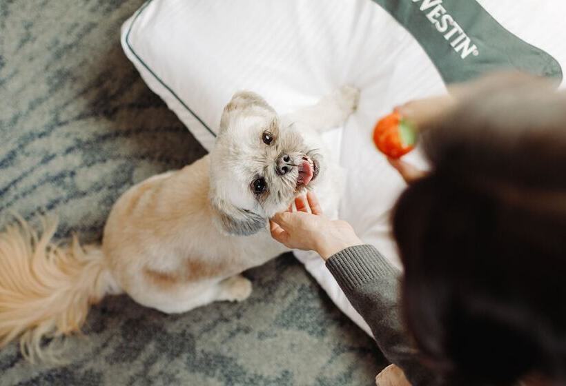酒店 The Westin New York at Times Square