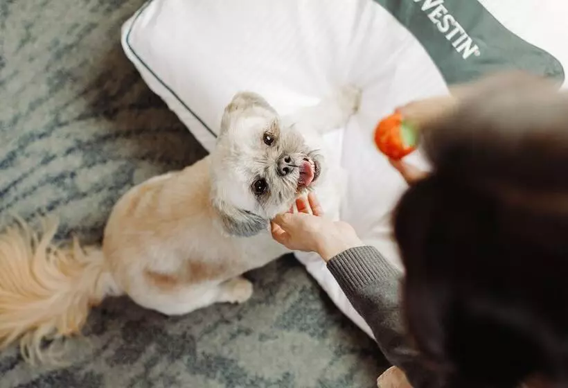 酒店 The Westin New York at Times Square