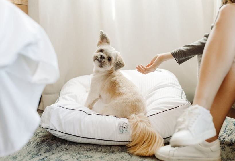 酒店 The Westin New York at Times Square